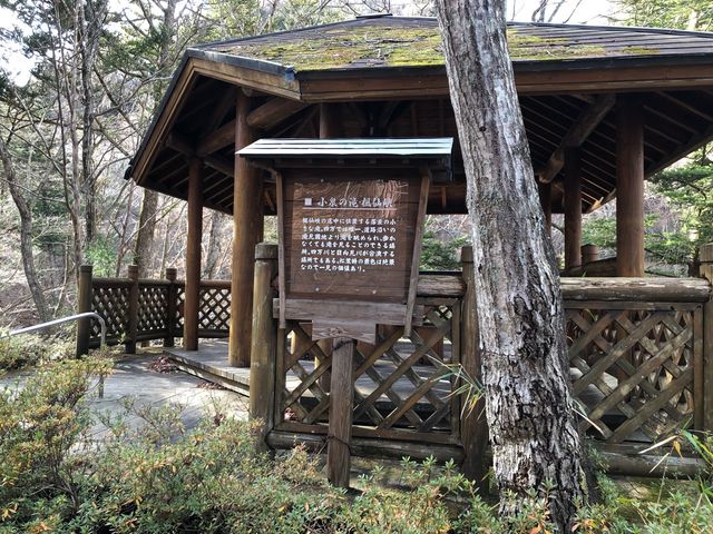 ����̑�1�i���e���j_����̑�