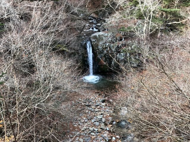 ����̑�3�i���e������ς���j_����̑�