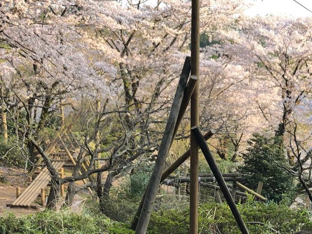 ���炢�Ă܂���_�t�B�[���h�A�X���`�b�N���l������R�[�X