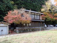 cinnamon̑匴ւ̓eʐ^1