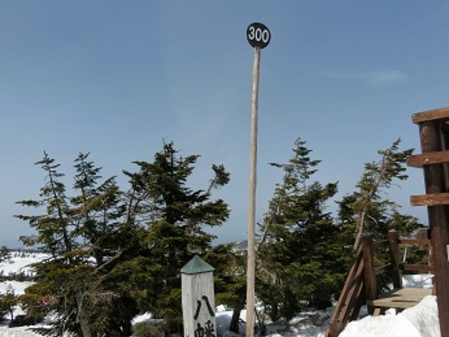 ������_������