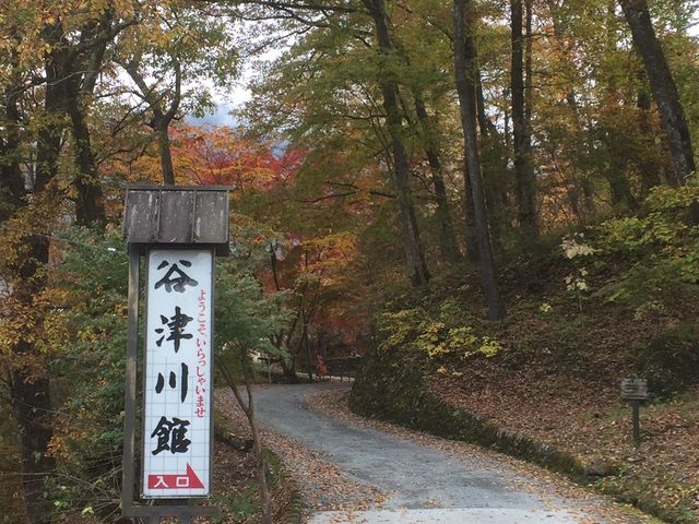 A~ÊƂ΂̗@JÐق̓eʐ^3