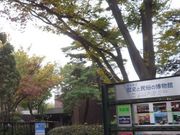 }X^[h̍ʌjƖ̔ق̓eʐ^1