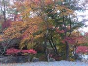 A~ÊƂ΂̗@JÐق̓eʐ^1