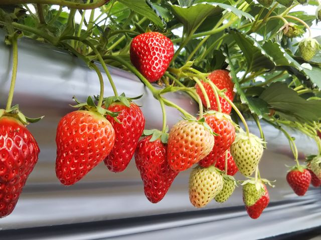 11̗\ɁA30ȏOɒĂ܂܂ύXĂ炦܂ByłB_уt@[ʔ