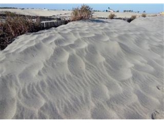 ���B�傩��̋����ŏo����u���c�����u�̕���v�i�É����j_���c�����u