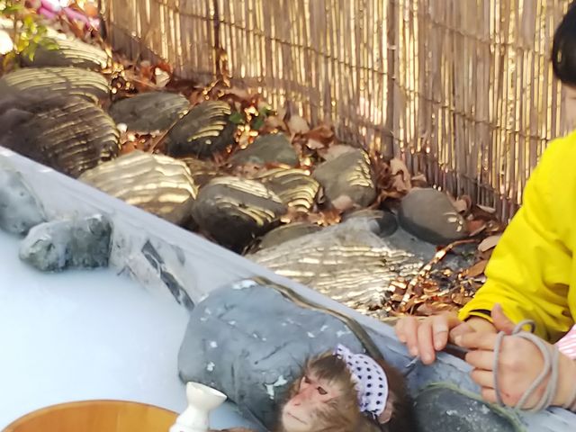 ���������ԂɃ^�C�~���O�悭�����ł��ă��b�L�[�ł����B_�����郉���h���A�j�^�E��