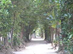 ނ̔̃tNM؂ւ̓eʐ^1