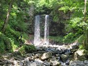 L̕vwi򕌌Ssj̓eʐ^1