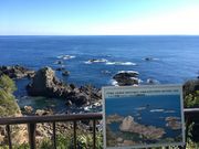 jungteng̃gRR͑ԗ̓eʐ^2