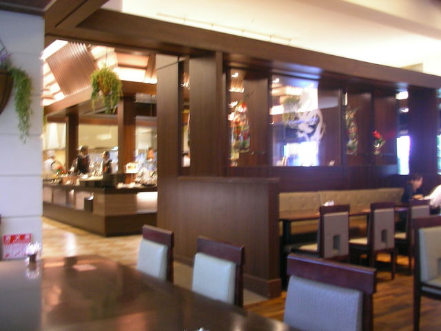 g؂ł_THE DINING g ꂩ䂵r[`][gEI[VXp