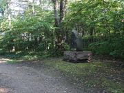 񂳂̒ӂݎq̔̓eʐ^1