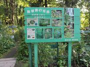 񂳂̑эLs쑐̓eʐ^1