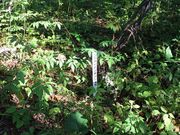 񂳂̑эLs쑐̓eʐ^2