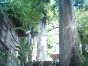 񂲂̓}_Ђ̈ʊ~̓eʐ^1