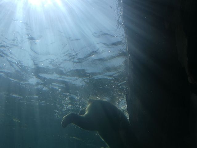 �z�b�L���N�O�}��_�~�R������