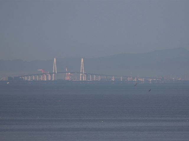 ɌV勴_̉w EF[up[NȂ߂肩