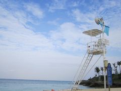 ۂɂ傳̃[r[`ւ̓eʐ^1