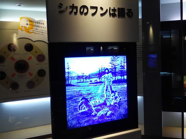 ����Ȋ����Ńe�[�}���Ƃɉ��_�n��̐X�~���[�W�A���i�x���Օۑ��فj