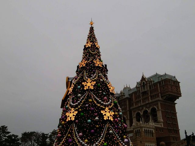 �N���X�}�X�c���[_�����f�B�Y�j�[�V�[(R)