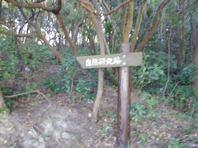 jyarapon̑命{RH̓eʐ^1