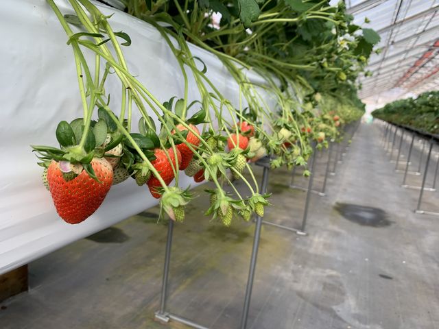 3��ނ̂�����������܂���_���R��������