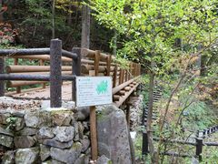 A\j[̞ws̐Xւ̓eʐ^1