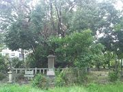 ܂[񂳂̓`\@t̓eʐ^1