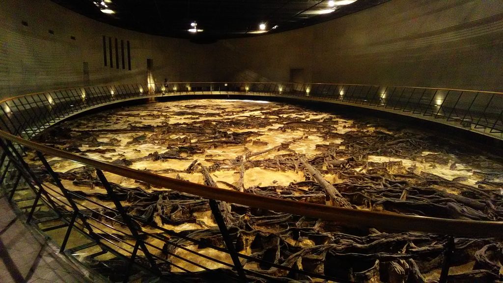 地底の森ミュージアム（富沢遺跡保存館）