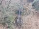 もぐらドンチャックさんの大沢の滝への投稿写真3