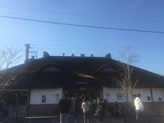 ikagawaa̋Muwi܃~[WA jւ̓eʐ^1