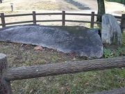 ܂܂̏tsz̋uj̓eʐ^1