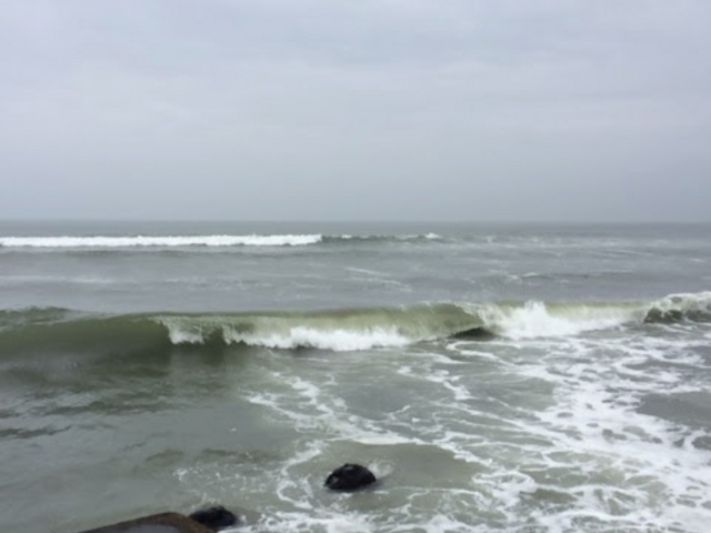 ��h�̐����_�ЊL�C������