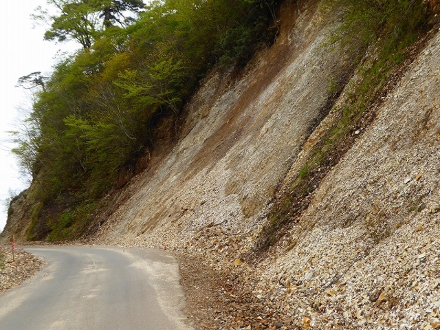 �������E���쉷��E���ˉ����قւ̓�_���쌳�����ˉ�����