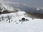 傱Hakuba47EB^[X|[cp[N̓eʐ^1