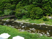 EGX^C[Xg̃JtFXg@mivj̓eʐ^1