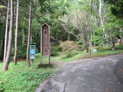 1962̌ˑqRLv̓eʐ^1