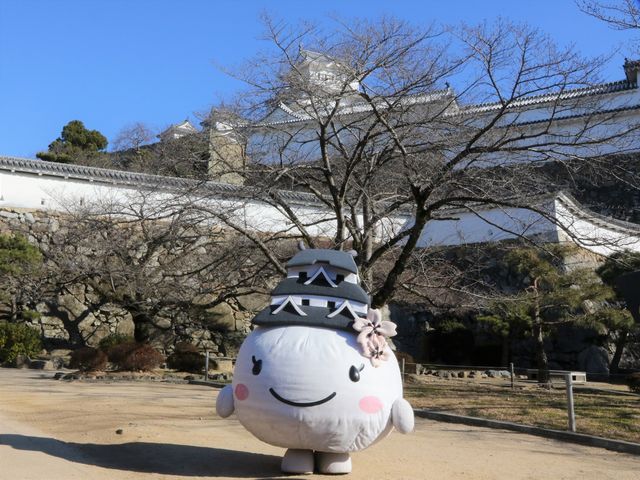 ܂Ђ_PHόȂу|[g(PHsόē)