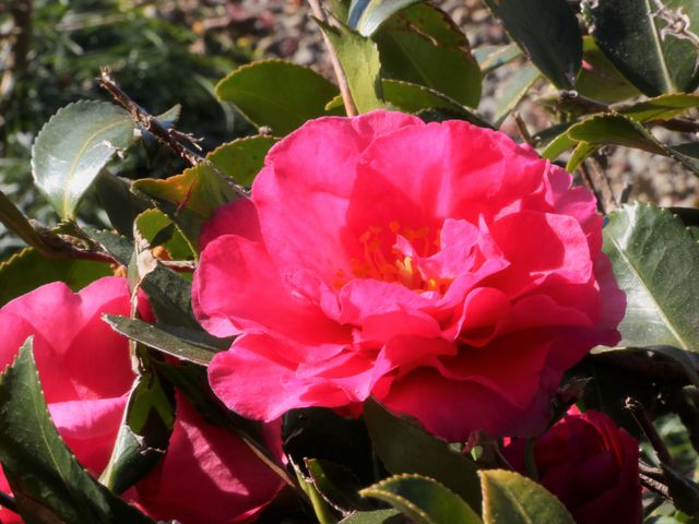 ւ̉_PHόȂу|[g(PHsόē)