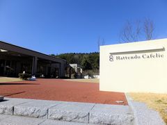 ɂ[B̔VJtFGւ̓eʐ^1