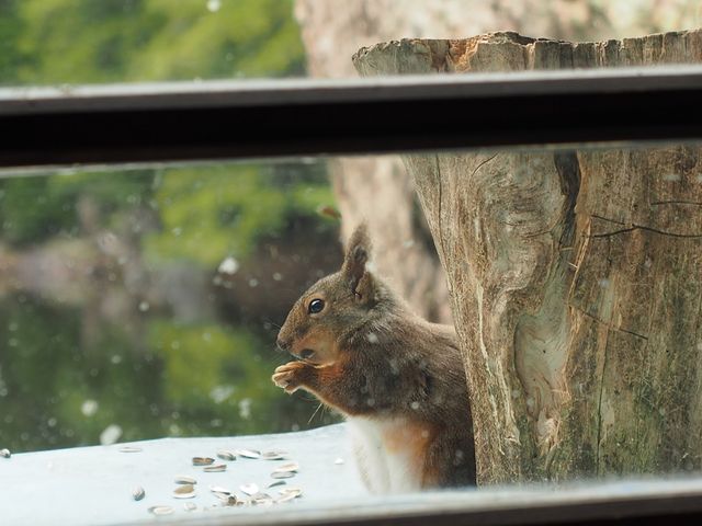 C[XgEbh̔x݂̂ǂr̓eʐ^2