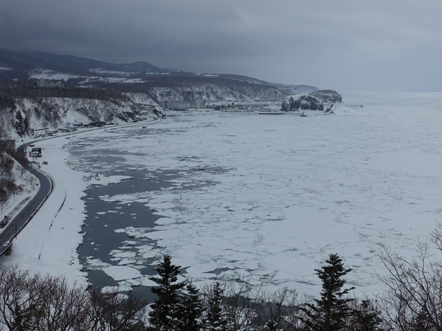 �m�����_�I�z�[�c�N�C�̗��X