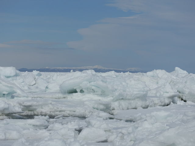 ���㓇���o�b�N��_�I�z�[�c�N�C�̗��X