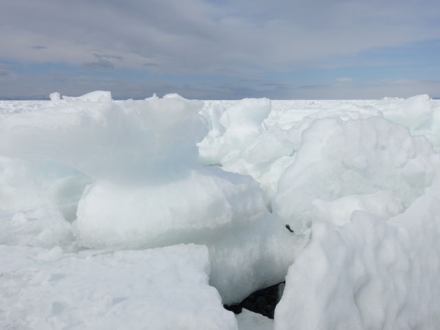 �X�̌`���l�X_�I�z�[�c�N�C�̗��X