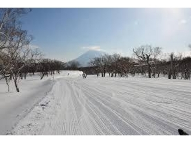 ���������O����_�j�Z�RHANAZONO���]�[�g