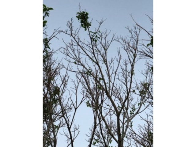 ���͋C_���R�郍�[�v�E�F�C�E���t�g