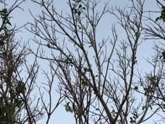 [ҁ[̏R郍[vEFCEtgւ̓eʐ^1