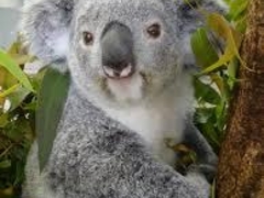 �`�b�N����̉��l�s�����򓮕����ւ̓��e�ʐ^1