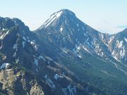 C[XgEbh̐ԊxV]̓eʐ^1