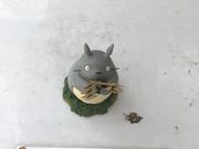 �N�b�L�[����̋�Ȃ��̃P���L�̓��e�ʐ^3